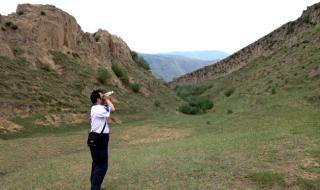 无名高地剧情介绍 无名高地剧情介绍